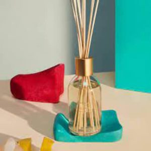 Diffusers In A Glass — Experienced Florists in Toronto, NSW
